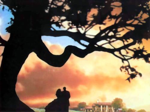 安康今天发生的事......