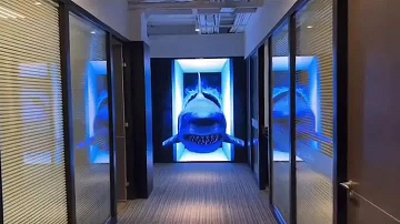 LED显示屏哪家公司制作的好